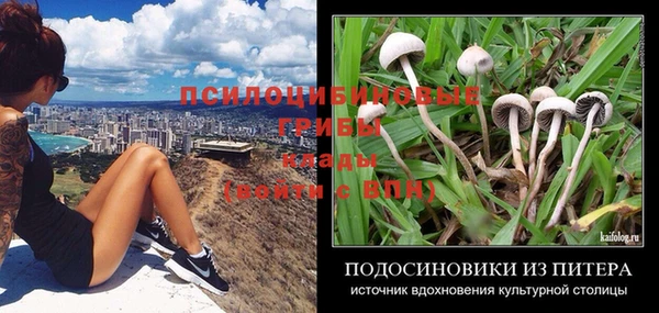 индика Липки