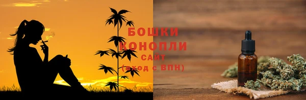 индика Ладушкин