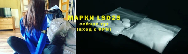 индика Липки