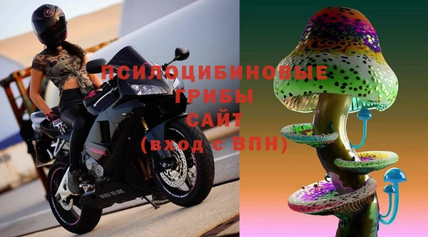 индика Липки