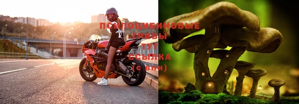 спайс Лихославль