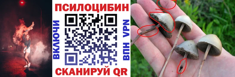 Купить закладки  Пласт  Галлюциногенные грибы Magic Shrooms 